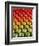 Red and Green Tomatoes-Tracey Thompson-Framed Photographic Print