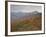 Red and Orange Fall Colors in the Wasatch Mountains, Uinta National Forest, Utah, USA-James Hager-Framed Photographic Print