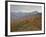 Red and Orange Fall Colors in the Wasatch Mountains, Uinta National Forest, Utah, USA-James Hager-Framed Photographic Print