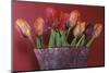 Red and Orange Parrot Tulips-Anna Miller-Mounted Photographic Print