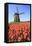 Red and Orange Tulip Fields and the Blue Sky Frame the Windmill in Spring, Netherlands-Roberto Moiola-Framed Premier Image Canvas