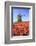 Red and Orange Tulip Fields and the Blue Sky Frame the Windmill in Spring, Netherlands-Roberto Moiola-Framed Photographic Print