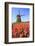 Red and Orange Tulip Fields and the Blue Sky Frame the Windmill in Spring, Netherlands-Roberto Moiola-Framed Photographic Print