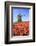 Red and Orange Tulip Fields and the Blue Sky Frame the Windmill in Spring, Netherlands-Roberto Moiola-Framed Photographic Print