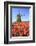 Red and Orange Tulip Fields and the Blue Sky Frame the Windmill in Spring, Netherlands-Roberto Moiola-Framed Photographic Print