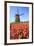 Red and Orange Tulip Fields and the Blue Sky Frame the Windmill in Spring, Netherlands-Roberto Moiola-Framed Photographic Print