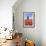 Red and Orange Tulip Fields and the Blue Sky Frame the Windmill in Spring, Netherlands-Roberto Moiola-Framed Photographic Print displayed on a wall