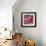 Red and Pink mix-Claire Westwood-Framed Art Print displayed on a wall