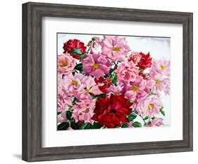 Red and Pink Roses, 2008-Christopher Ryland-Framed Giclee Print