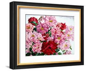 Red and Pink Roses, 2008-Christopher Ryland-Framed Giclee Print