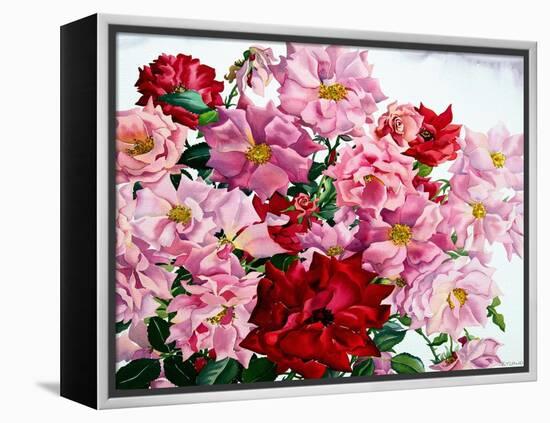Red and Pink Roses, 2008-Christopher Ryland-Framed Premier Image Canvas