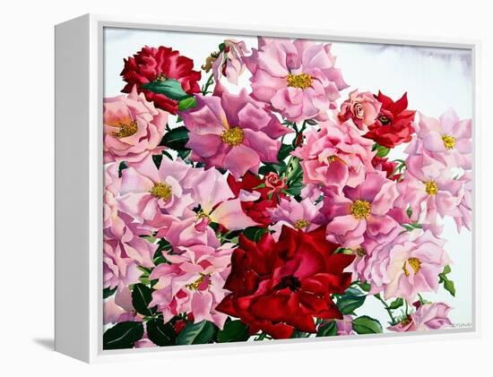 Red and Pink Roses, 2008-Christopher Ryland-Framed Premier Image Canvas
