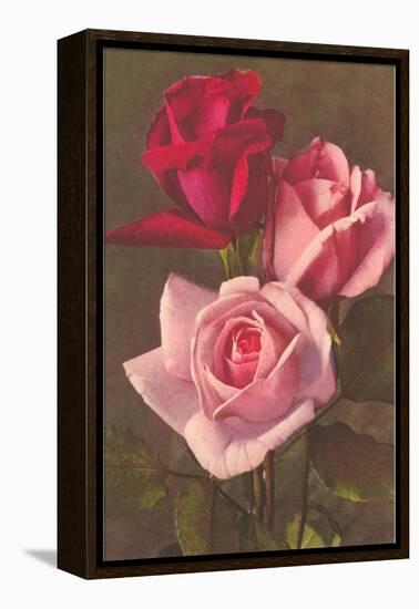 Red and Pink Roses-null-Framed Stretched Canvas