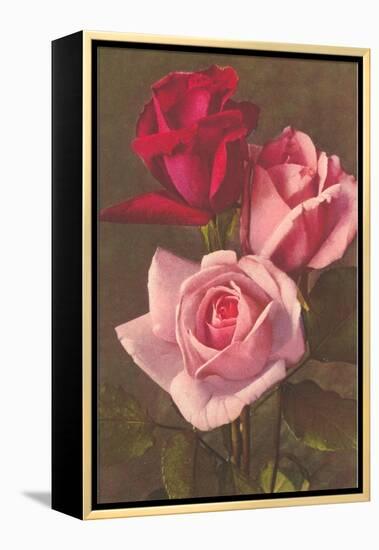 Red and Pink Roses-null-Framed Stretched Canvas