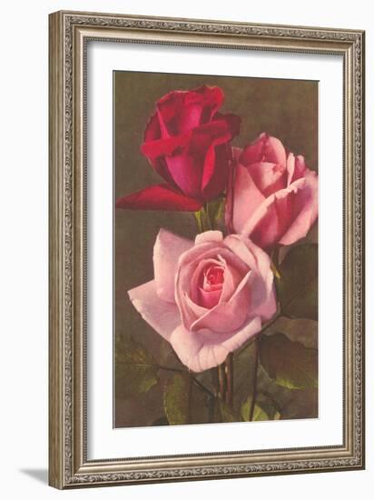 Red and Pink Roses--Framed Art Print