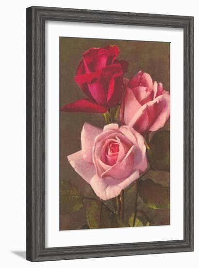 Red and Pink Roses-null-Framed Art Print