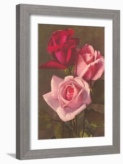 Red and Pink Roses-null-Framed Art Print