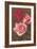 Red and Pink Roses-null-Framed Art Print