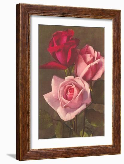 Red and Pink Roses--Framed Art Print