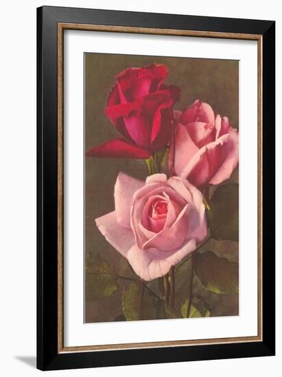 Red and Pink Roses-null-Framed Art Print