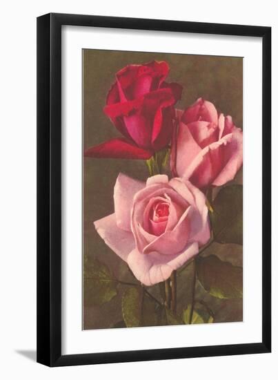 Red and Pink Roses-null-Framed Art Print