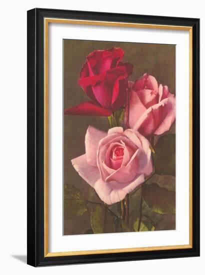 Red and Pink Roses-null-Framed Art Print