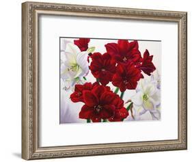 Red and White Amaryllis, 2008-Christopher Ryland-Framed Giclee Print