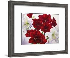 Red and White Amaryllis, 2008-Christopher Ryland-Framed Giclee Print