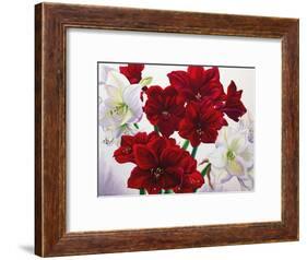 Red and White Amaryllis, 2008-Christopher Ryland-Framed Giclee Print
