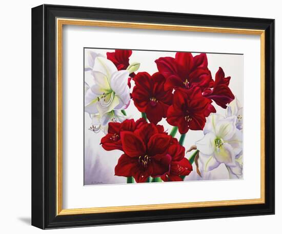 Red and White Amaryllis, 2008-Christopher Ryland-Framed Giclee Print