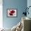 Red and White Amaryllis, 2008-Christopher Ryland-Framed Premium Giclee Print displayed on a wall