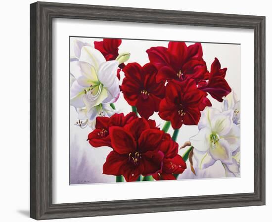 Red and White Amaryllis, 2008-Christopher Ryland-Framed Premium Giclee Print