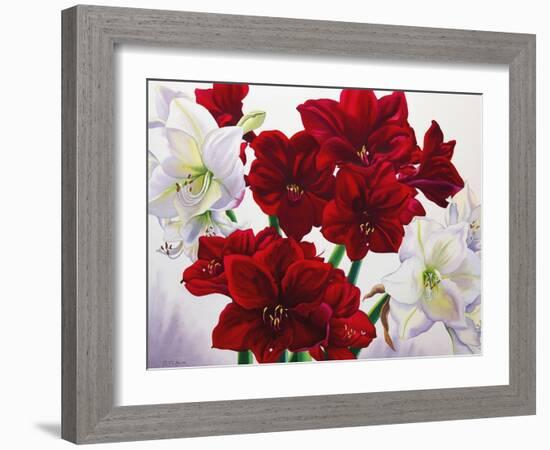 Red and White Amaryllis, 2008-Christopher Ryland-Framed Premium Giclee Print