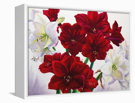 Red and White Amaryllis, 2008-Christopher Ryland-Framed Premier Image Canvas