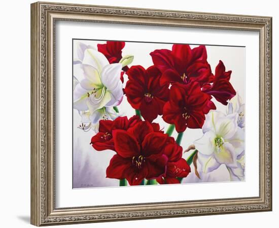 Red and White Amaryllis, 2008-Christopher Ryland-Framed Giclee Print