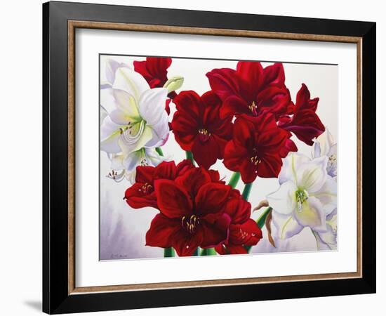 Red and White Amaryllis, 2008-Christopher Ryland-Framed Giclee Print