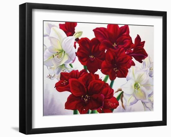 Red and White Amaryllis, 2008-Christopher Ryland-Framed Giclee Print