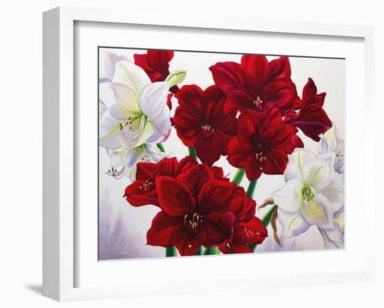 Red and White Amaryllis, 2008-Christopher Ryland-Framed Giclee Print