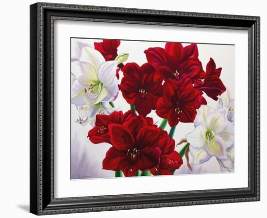 Red and White Amaryllis, 2008-Christopher Ryland-Framed Giclee Print