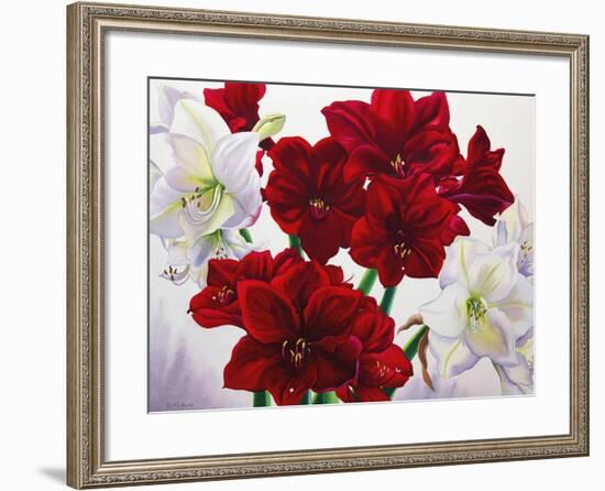 Red and White Amaryllis, 2008-Christopher Ryland-Framed Giclee Print