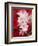 Red and White Azaleas, Townsend, Tennessee, USA-Adam Jones-Framed Photographic Print