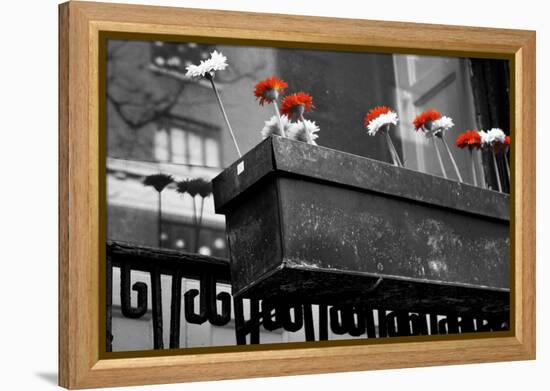 Red and White Flowers in Planter-null-Framed Stretched Canvas