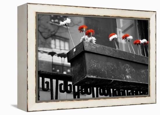 Red and White Flowers in Planter-null-Framed Stretched Canvas