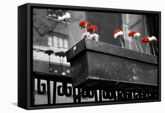 Red and White Flowers in Planter-null-Framed Stretched Canvas