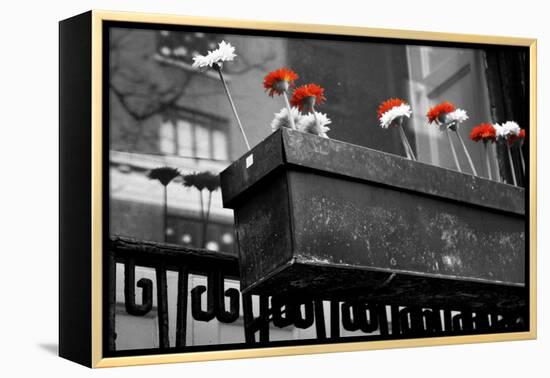 Red and White Flowers in Planter-null-Framed Stretched Canvas