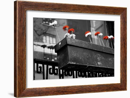 Red and White Flowers in Planter-null-Framed Photo