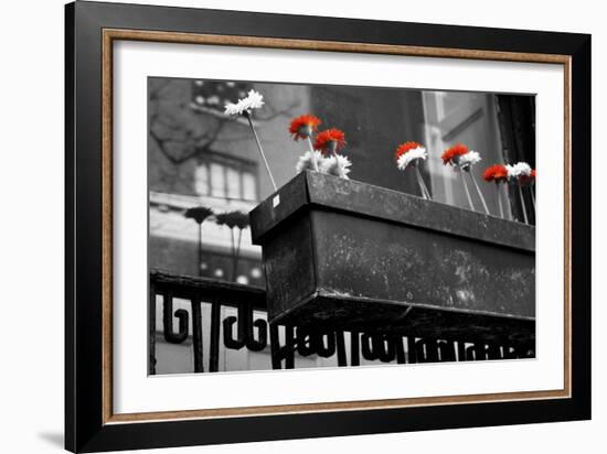 Red and White Flowers in Planter-null-Framed Photo