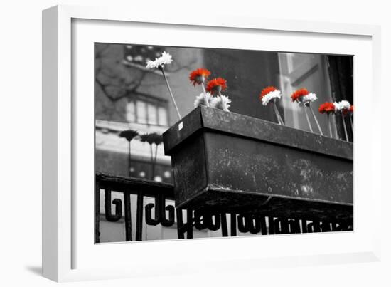 Red and White Flowers in Planter-null-Framed Photo