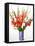 Red and White Gladioli-Christopher Ryland-Framed Premier Image Canvas