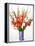 Red and White Gladioli-Christopher Ryland-Framed Premier Image Canvas